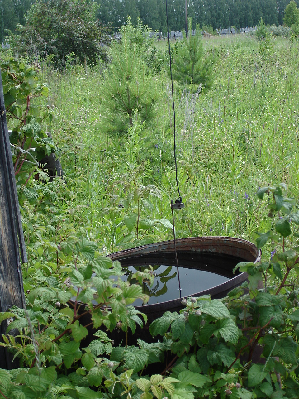 Barrel for rainwater